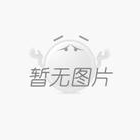 魷魚豐年，貨往哪兒賣？8月上海漁博會找答案